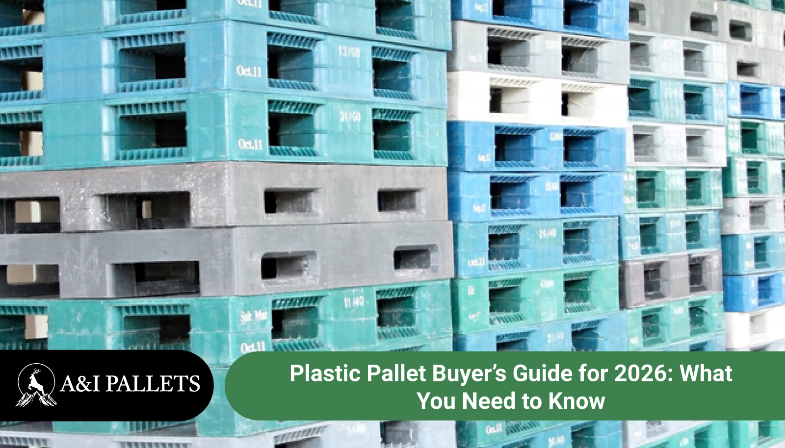 Plastic Pallet Buyer’s Guide for 2026: What You Need to Know