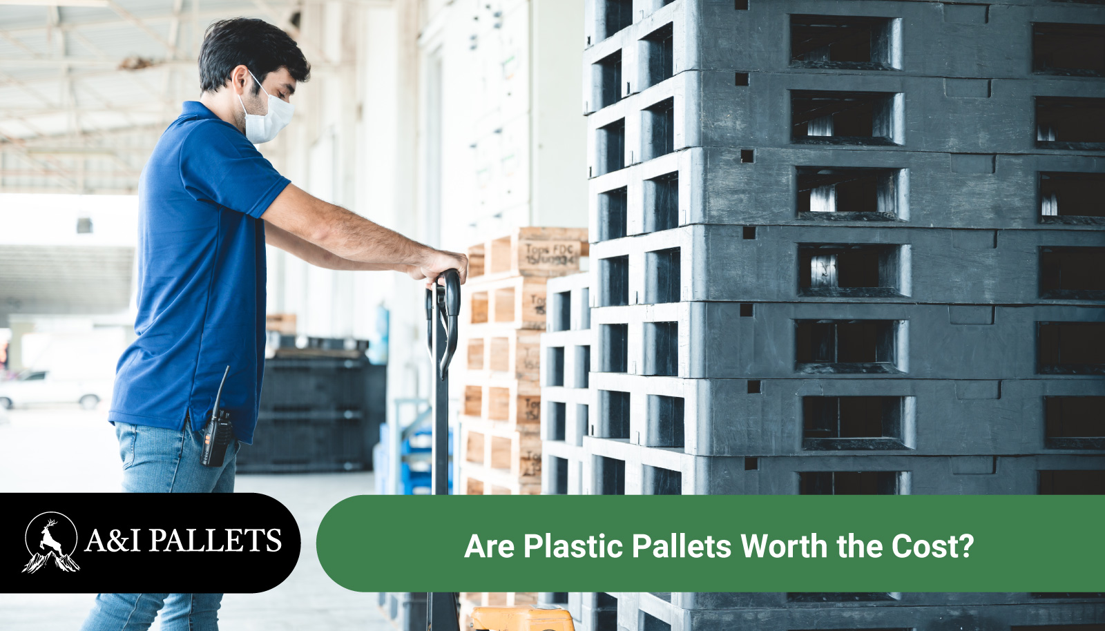 Are Plastic Pallets Worth the Cost?